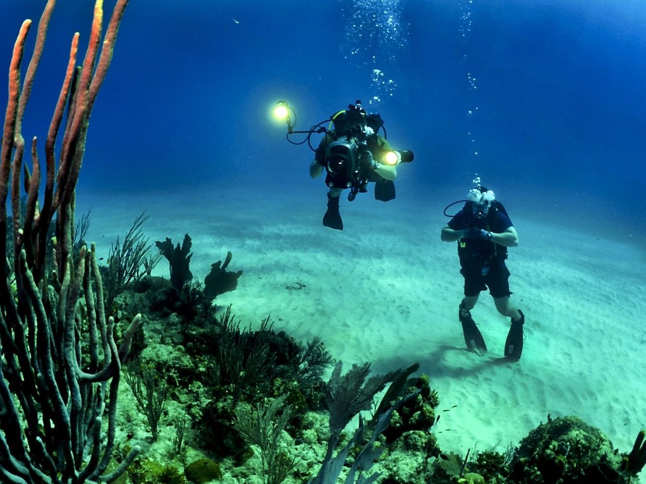 2 Scuba Diver Underwater