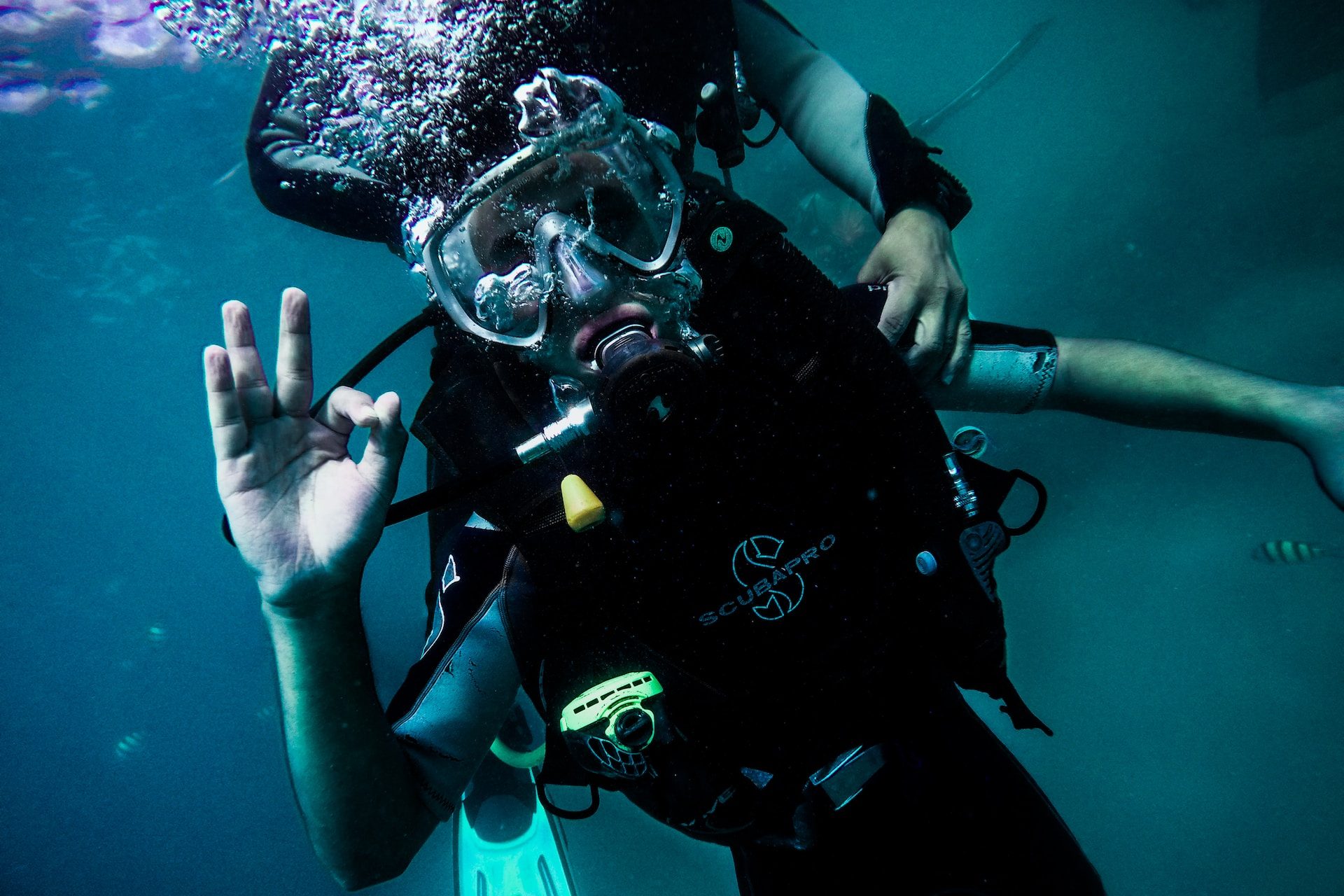 person wearing diving suit under water
